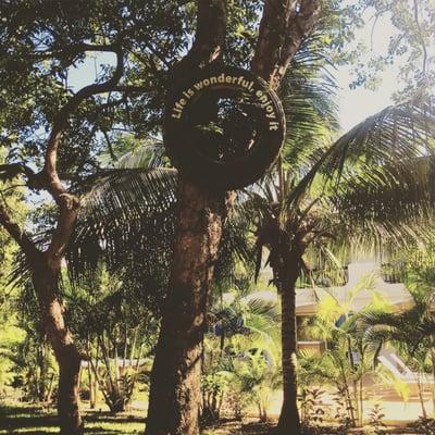 Photo of Hello Alove R.