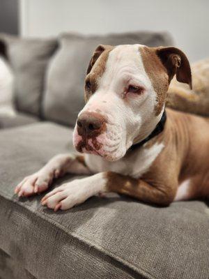 photo of CaptSeth C.