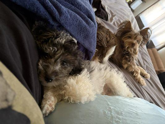 photo of Margaret M.