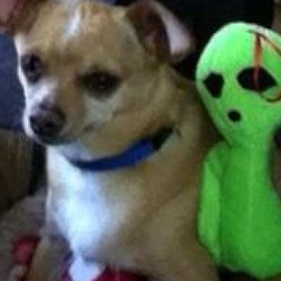 photo of Lorraine G.