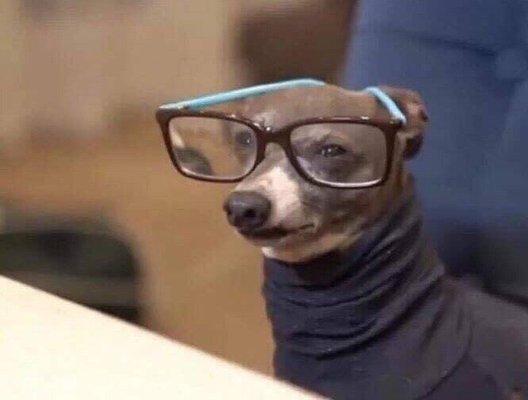 photo of Chauncey M.