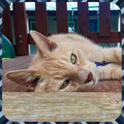 Photo of Michelle R.