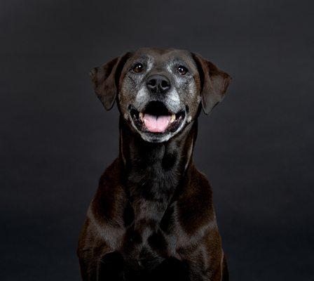 Photo of Victor J.