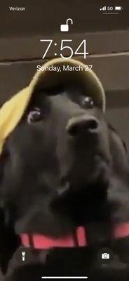 photo of Christian C.