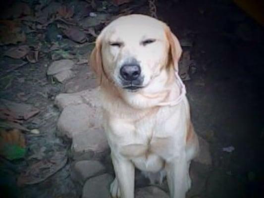 photo of Jackeline L.