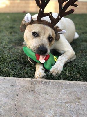 photo of Clarissa G.