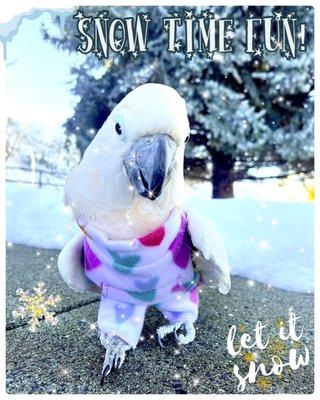 Photo of Sharlene E.