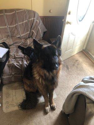 photo of Everette M.