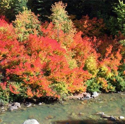 photo of Frostina Z.