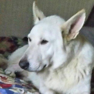 photo of Patricia E.