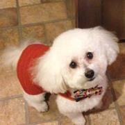 photo of Racqueal H.