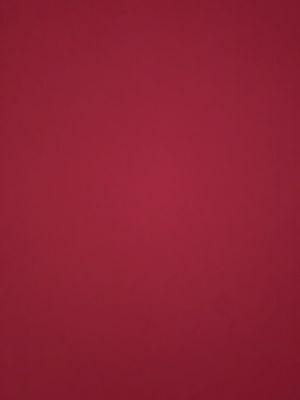 Photo of IPhone I.