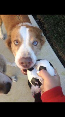 photo of Michelle D.