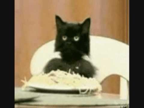 photo of Jennifer S.