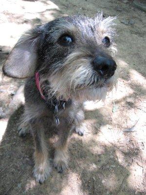 photo of Somebodysomewhere G.