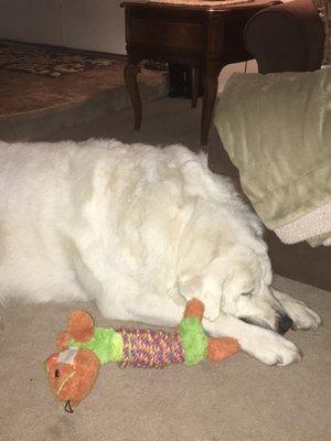 photo of Stephanie M.