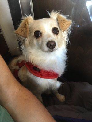 photo of San Diego F.