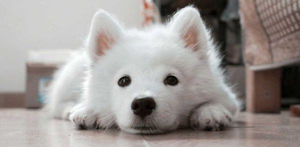 photo of Caroline G.