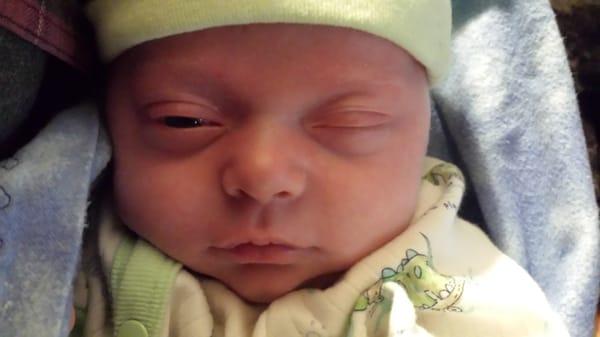 Photo of Mohagony S.