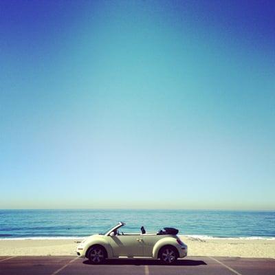 photo of Danielle L.