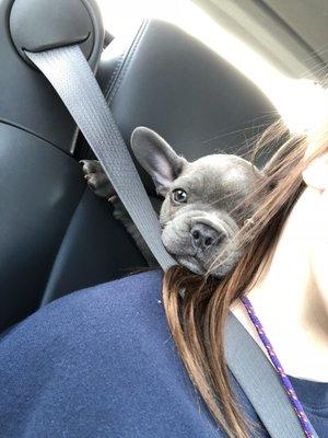 photo of Alexandra W.