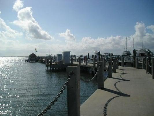 photo of Michelle N.