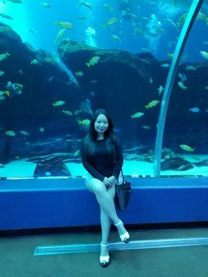 Photo of Crystal H.