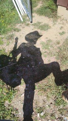 photo of Rose Anne M.