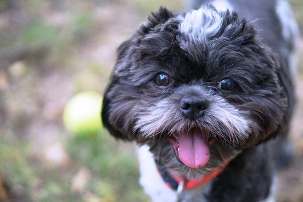 Photo of Jennifer C.