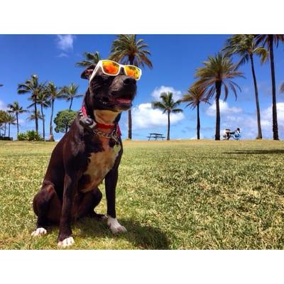 photo of Krisitna Z.