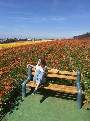 Photo of Deia S.