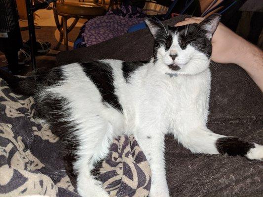 photo of Angelica M.