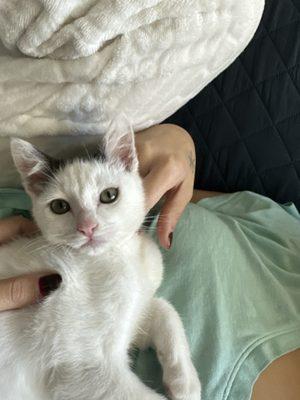 photo of Jocelyne C.