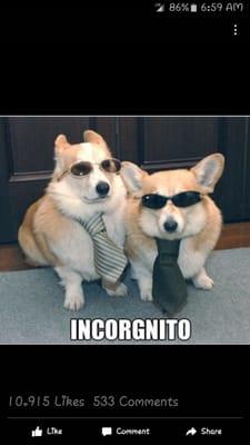 photo of Christina D.