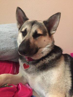 Photo of Misty M.