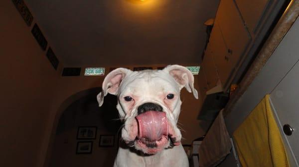 Photo of Dash D.