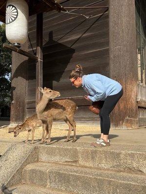 photo of Veronica N.