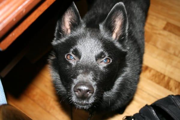 Photo of Dave D.