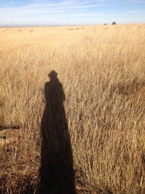 photo of Jennifer P.