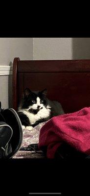 photo of Jaqueline M.