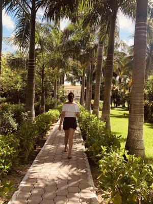 Photo of araceli l.
