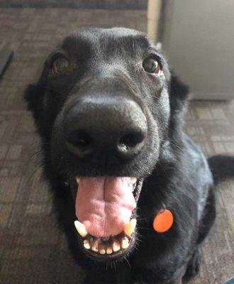 photo of Spalding R.