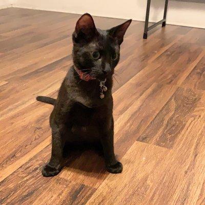 Photo of Danielle L.