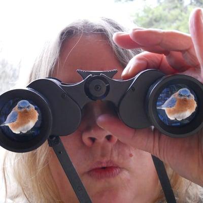 Photo of Alena L.
