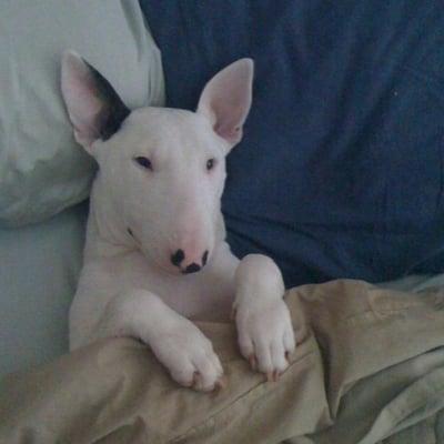 Photo of Debra H.