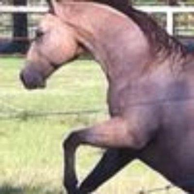 photo of Kimberly B.