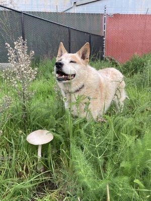 photo of Jennifer ..