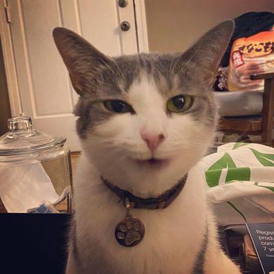 photo of Nathaniel P.