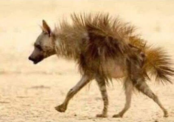 Photo of Christine Z.