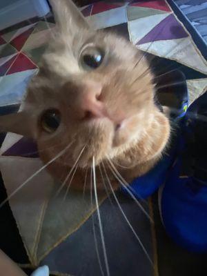 photo of Kayleigh C.